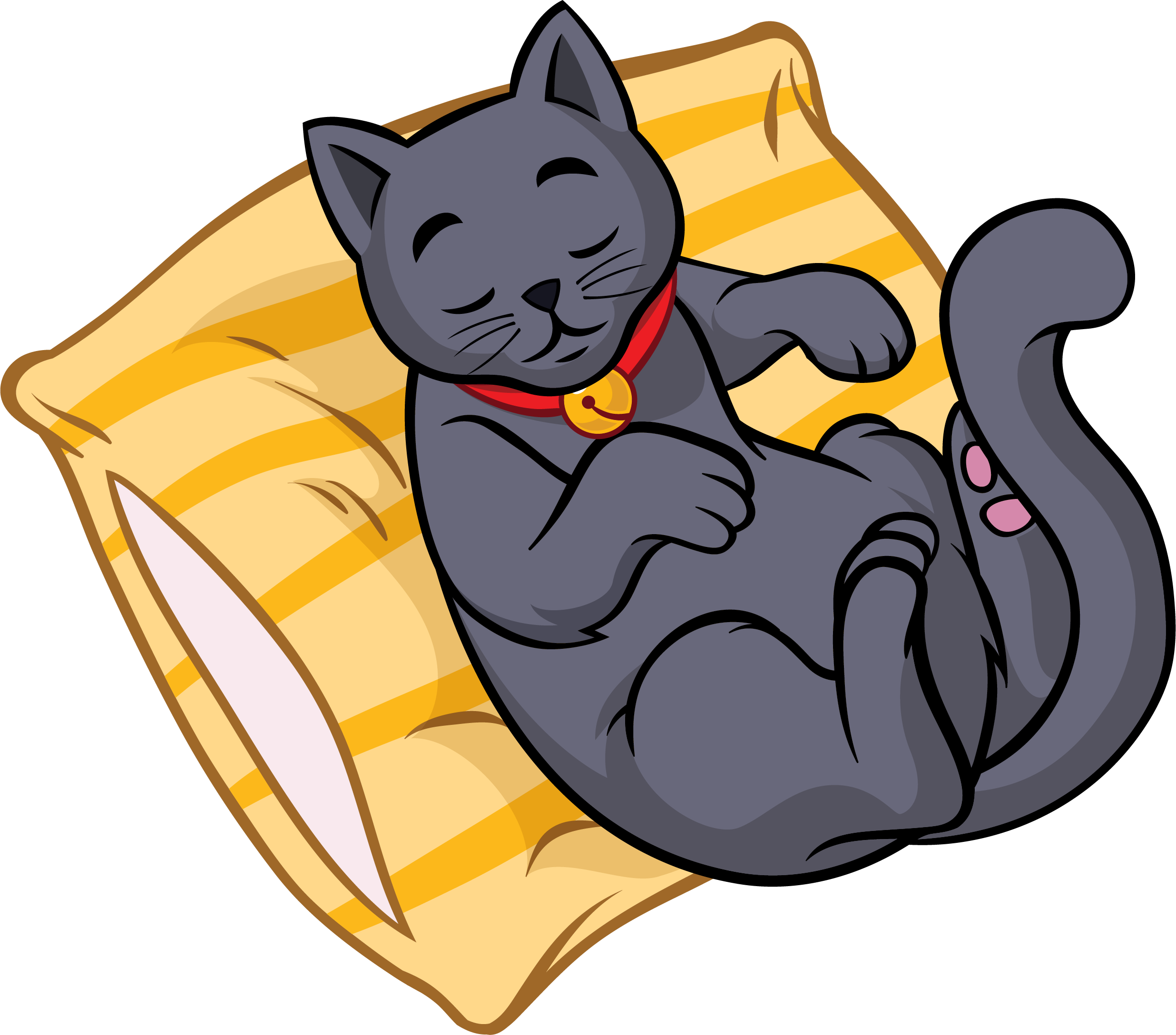 cat